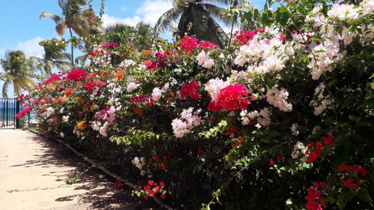 Bonheur A La Residence Savane Le Gosier  Bagian luar foto