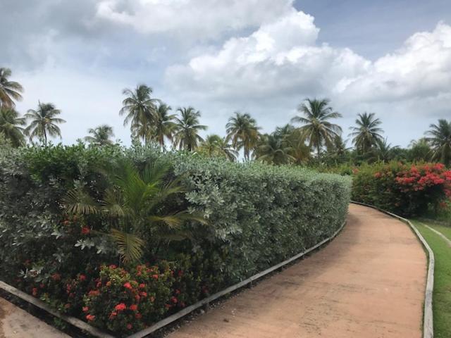Bonheur A La Residence Savane Le Gosier  Bagian luar foto